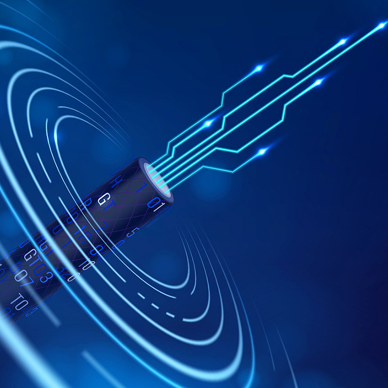 Lianou Electric, Uluslararası Elektrik Fuarı'nda Yeşil Trendin Lideri Yenilikçi Ürünlerini Sergiliyor